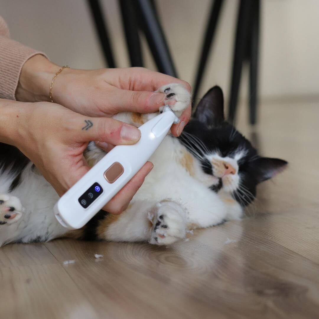 PawTrim - Elektrisk trimmer